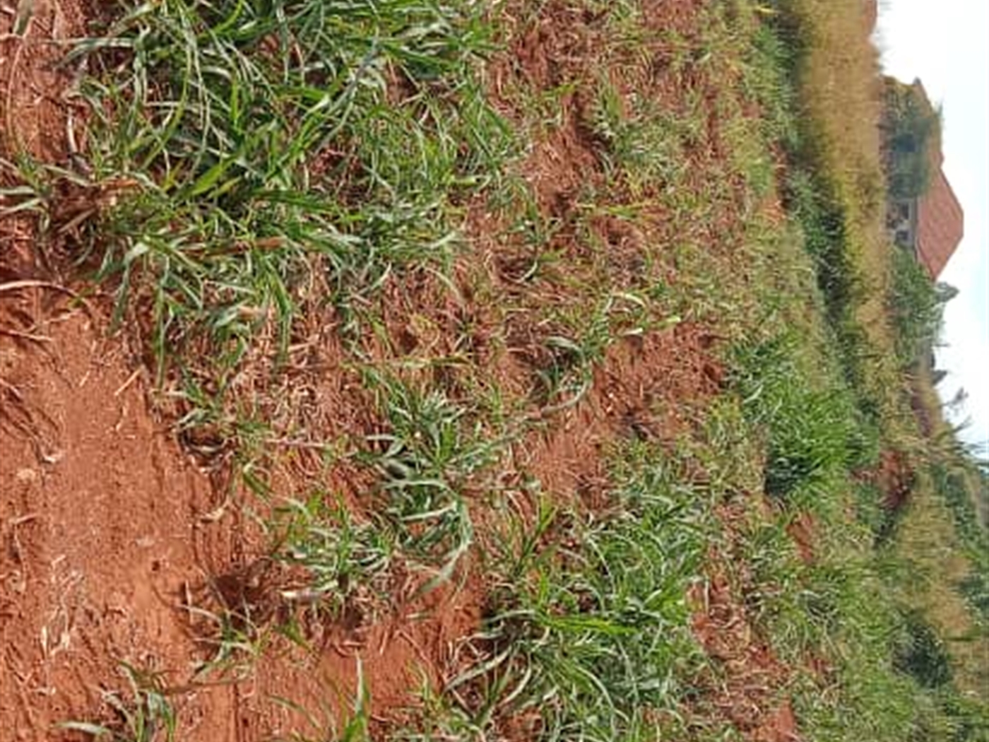 Residential land for sale in Akright Wakiso Uganda