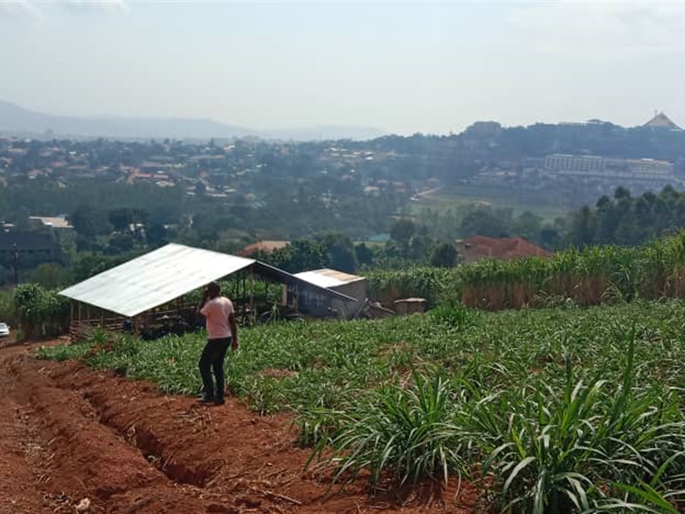 Residential land for sale in Akright Wakiso Uganda