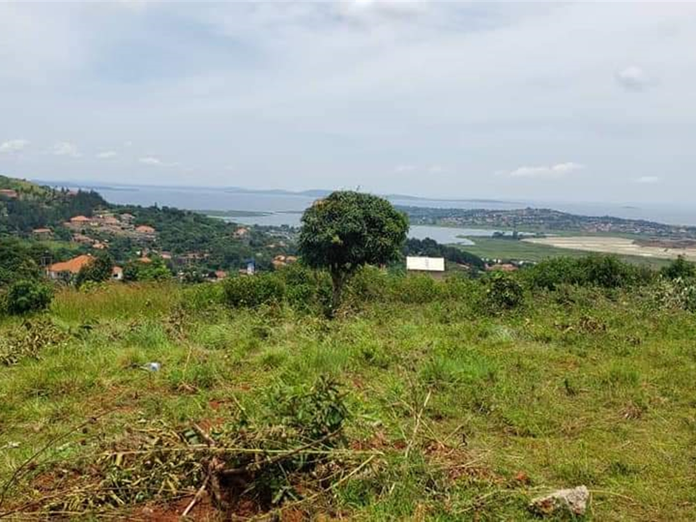 Residential land for sale in Akright Wakiso Uganda