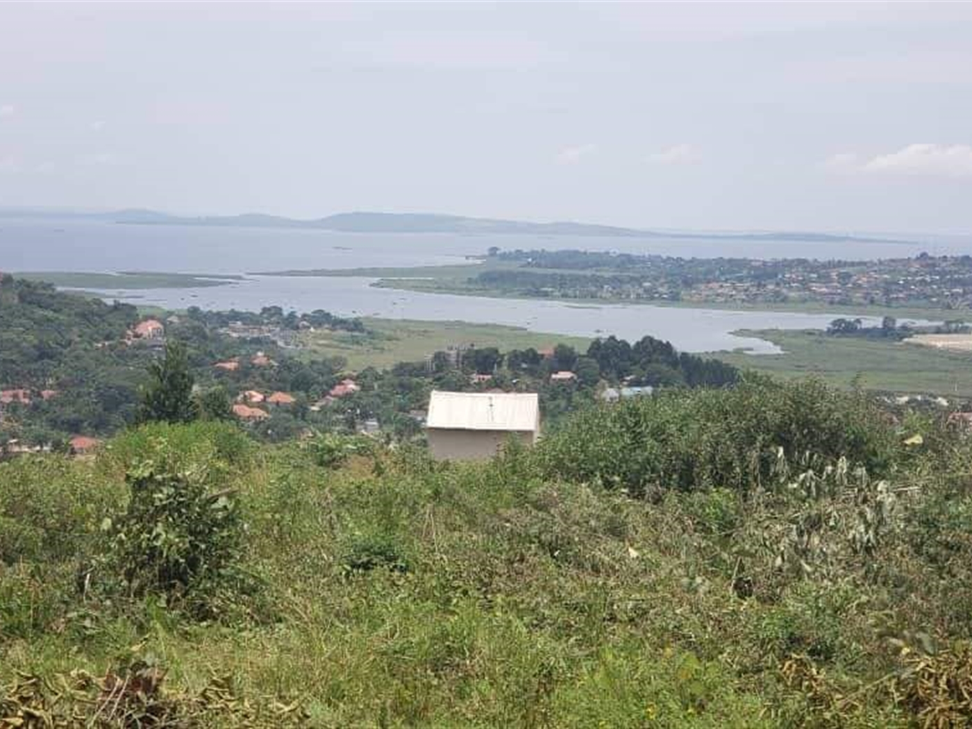 Residential land for sale in Akright Wakiso Uganda