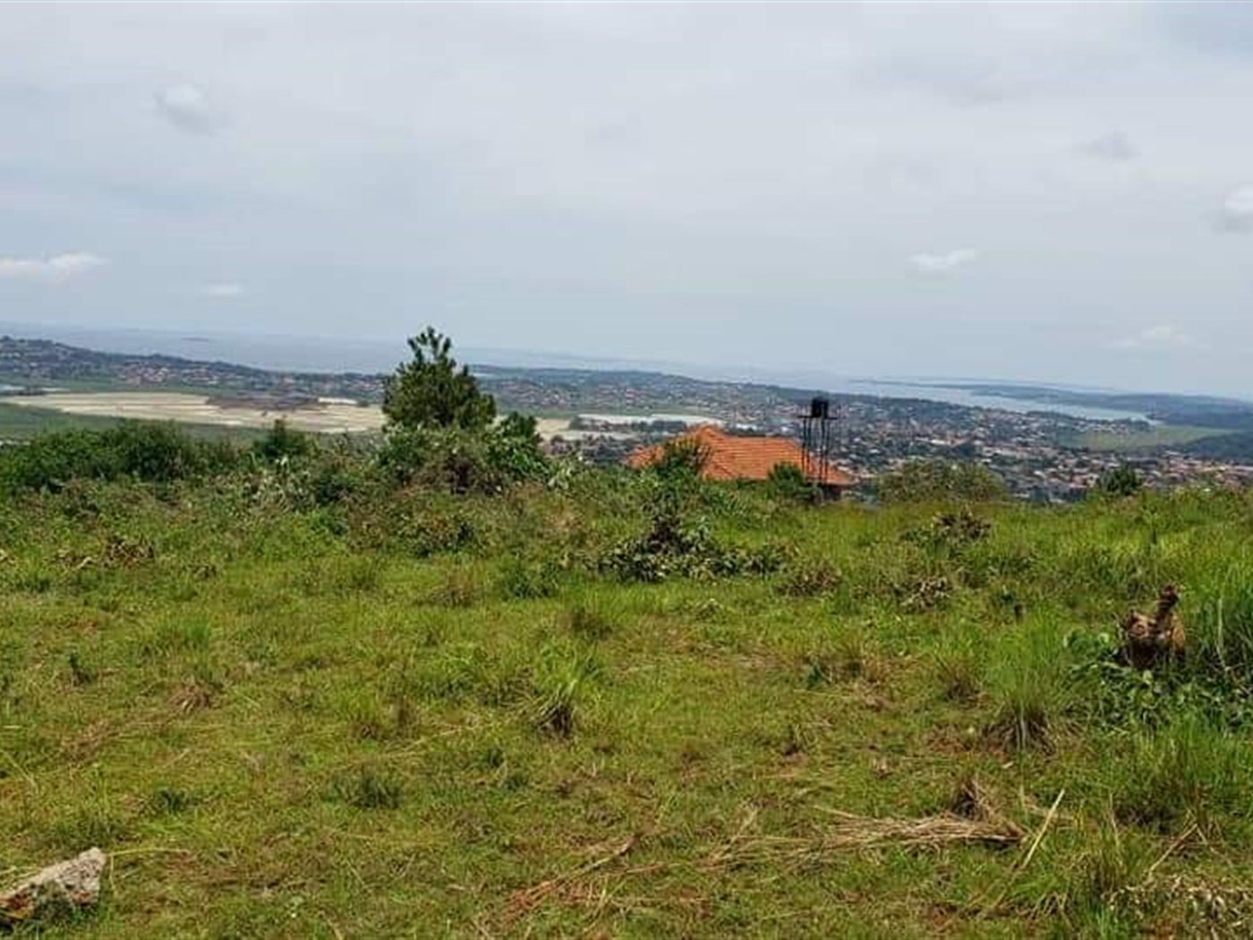 Residential land for sale in Akright Wakiso Uganda