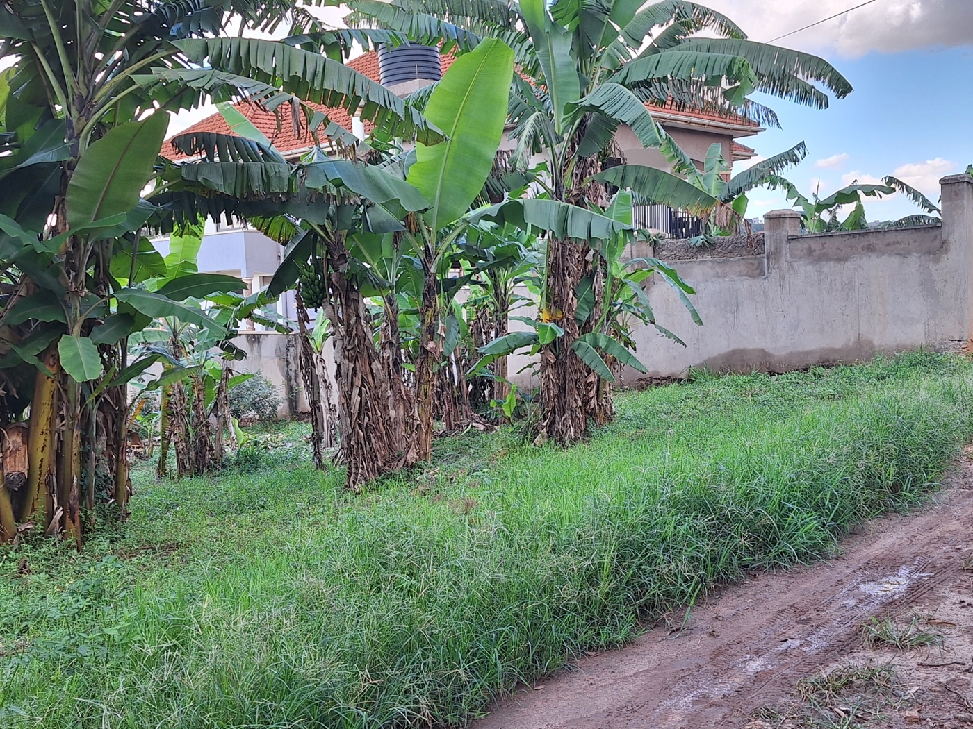 Residential land for sale in Kira Wakiso Uganda