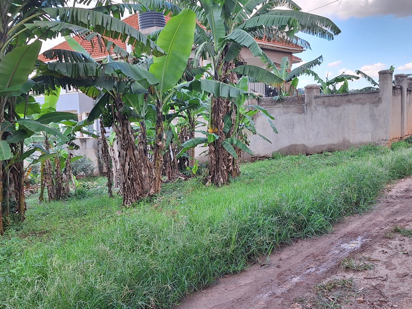Residential land for sale in Kira Wakiso Uganda
