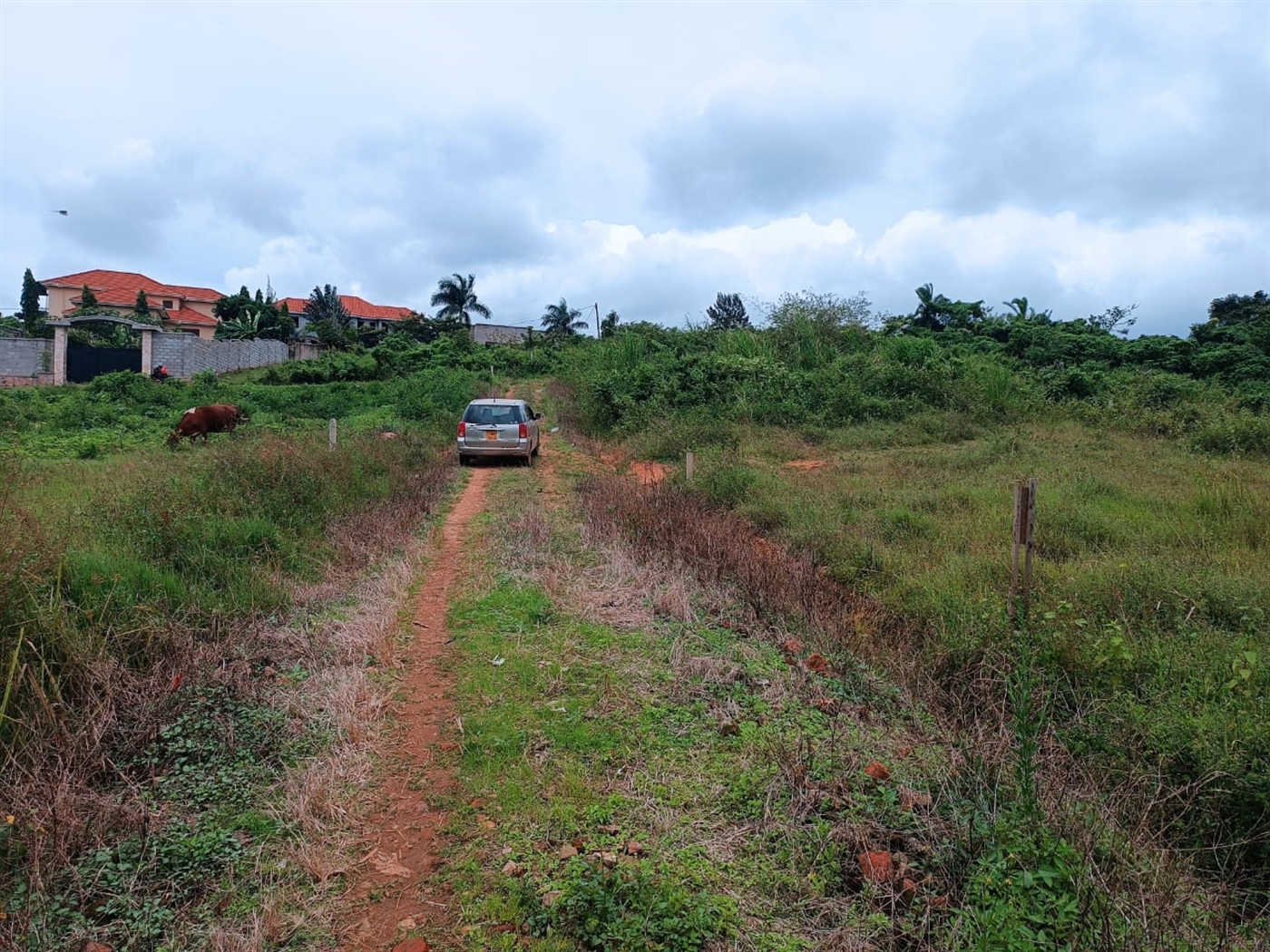 Residential land for sale in Kira Wakiso Uganda