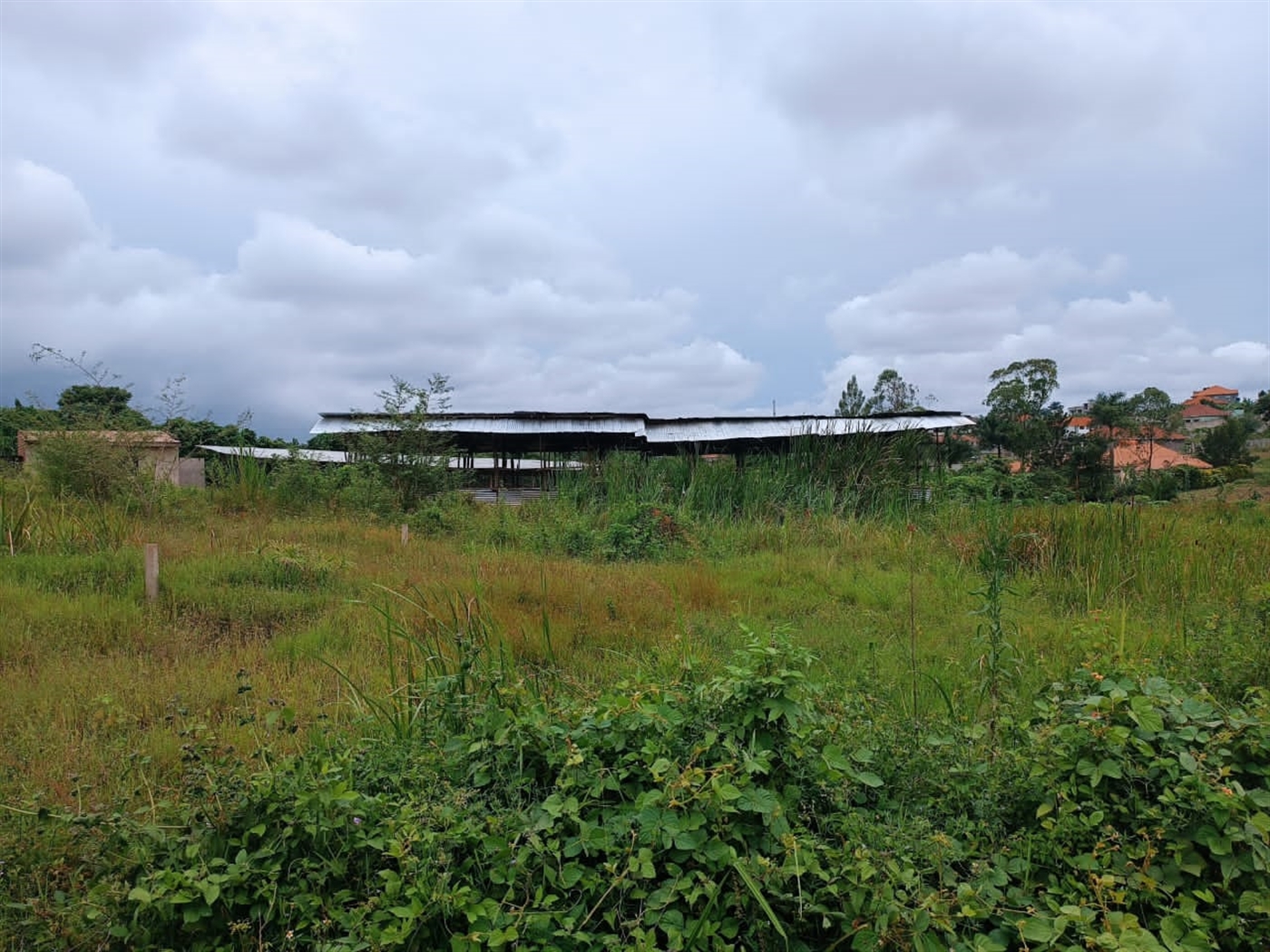 Residential land for sale in Kira Wakiso Uganda