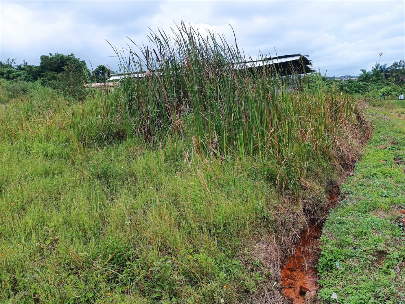 Residential land for sale in Kira Wakiso Uganda