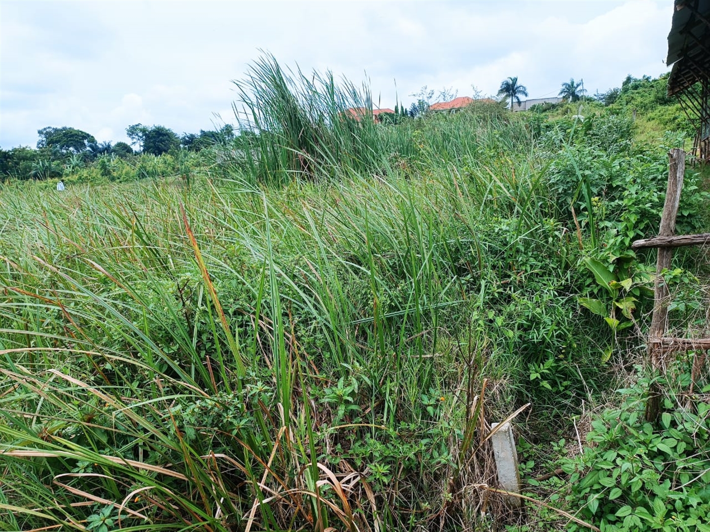 Residential land for sale in Kira Wakiso Uganda