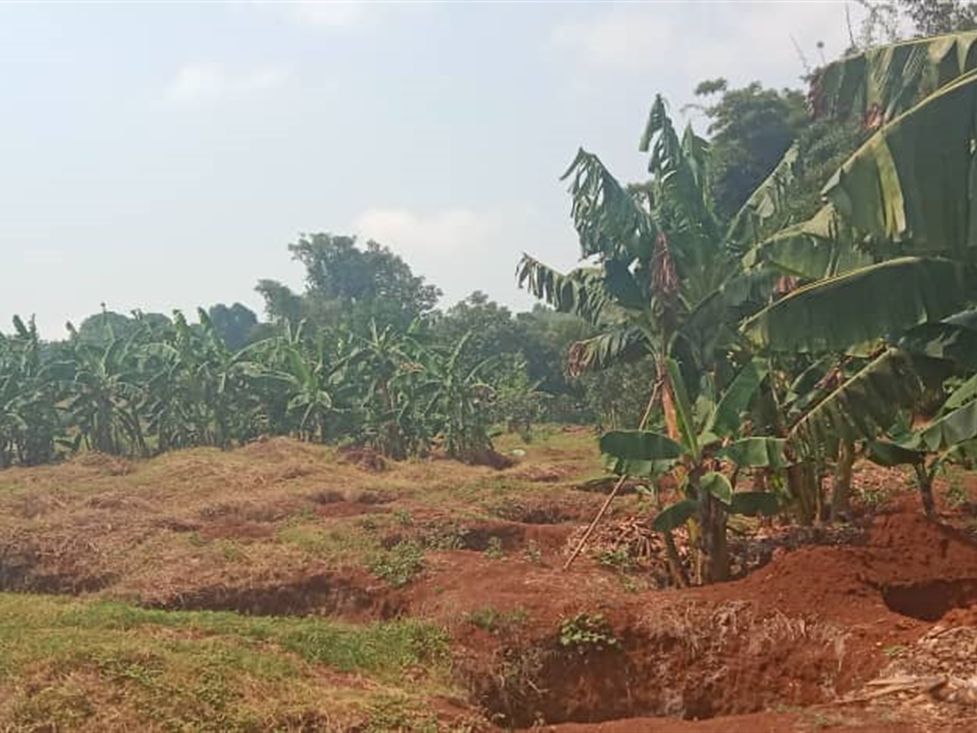 Residential land for sale in Akright Wakiso Uganda