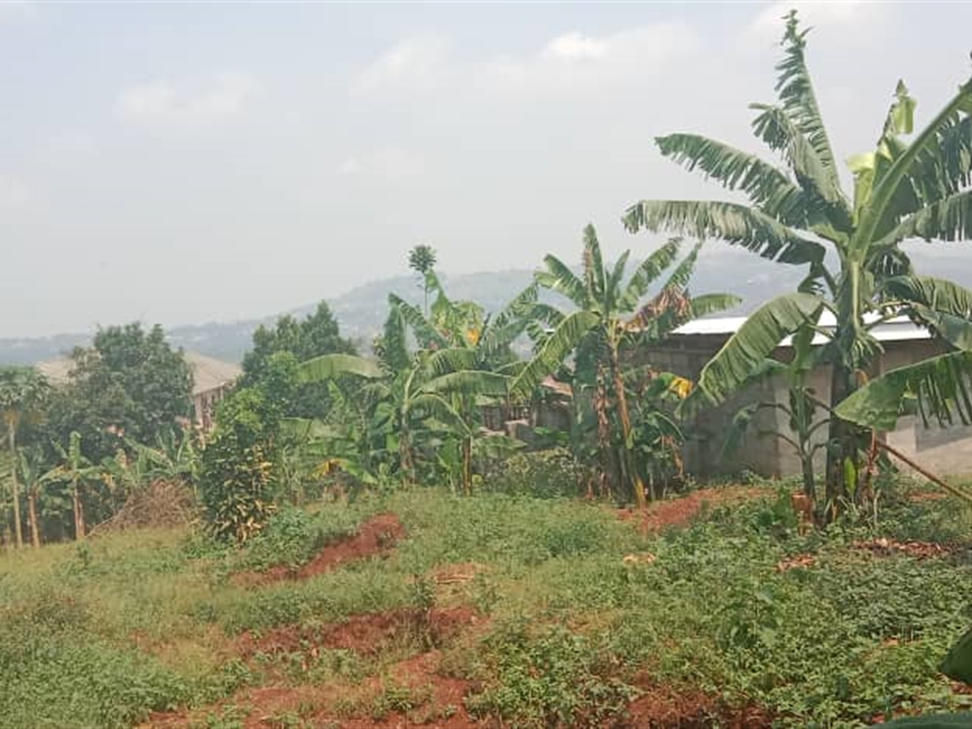 Residential land for sale in Akright Wakiso Uganda