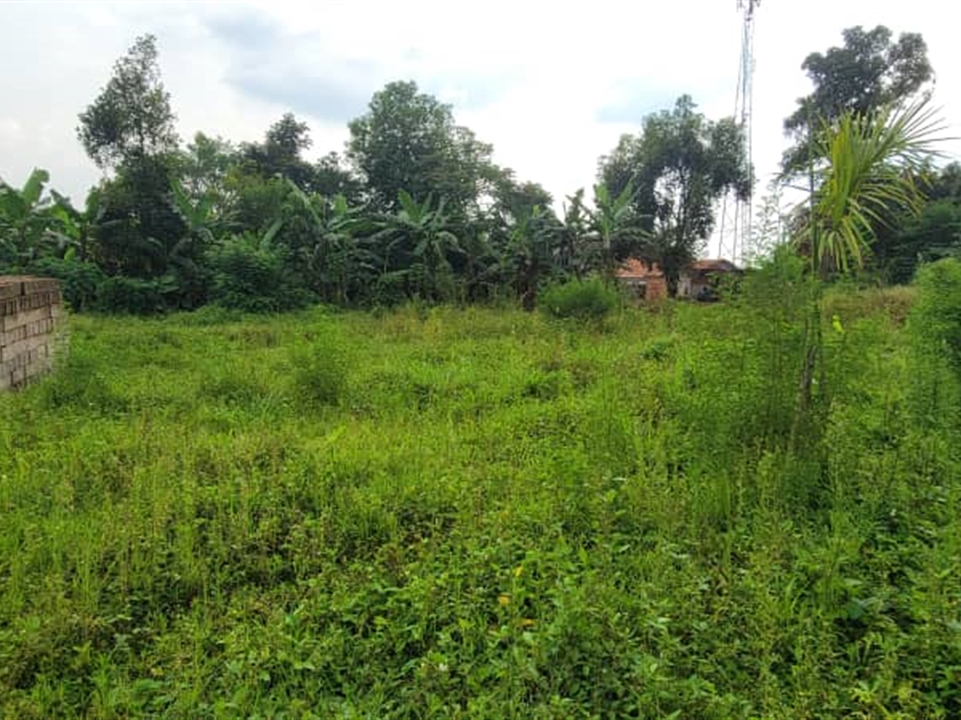 Residential land for sale in Kira Wakiso Uganda