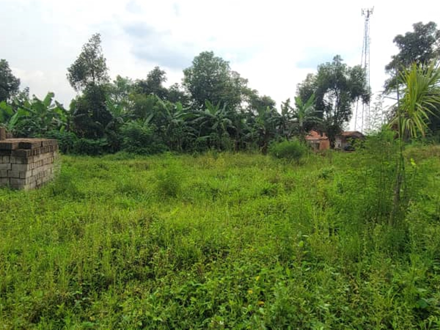 Residential land for sale in Kira Wakiso Uganda