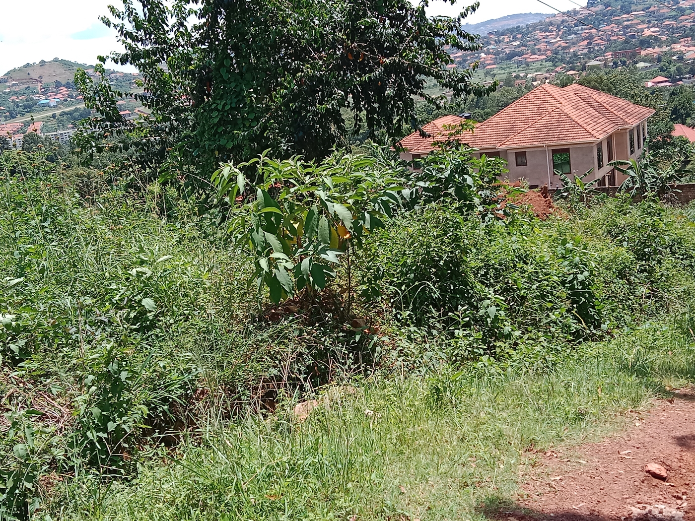 Residential land for sale in Akright Wakiso Uganda