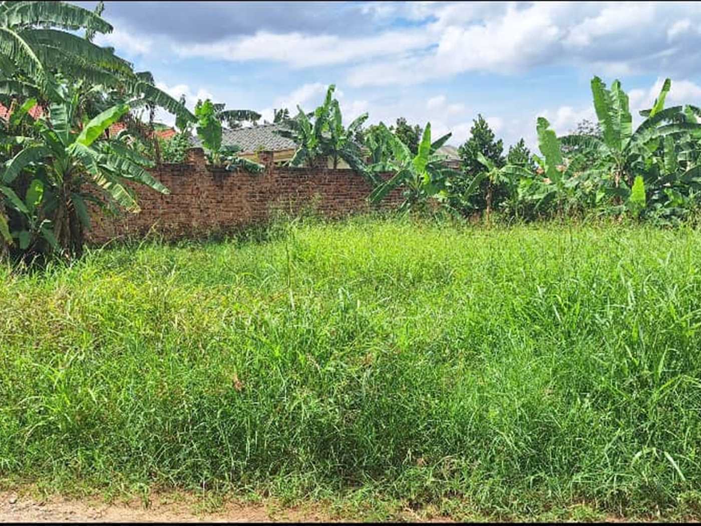 Residential land for sale in Kira Wakiso Uganda