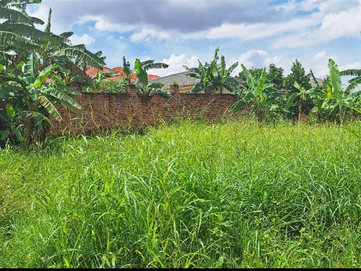 Residential land for sale in Kira Wakiso Uganda