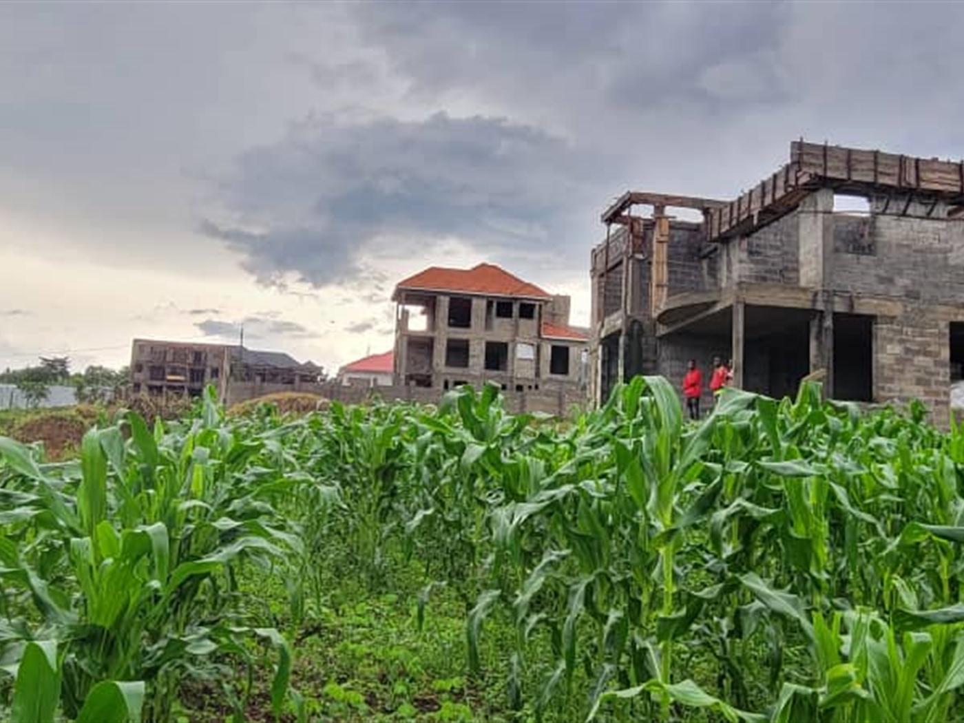 Residential land for sale in Kira Wakiso Uganda
