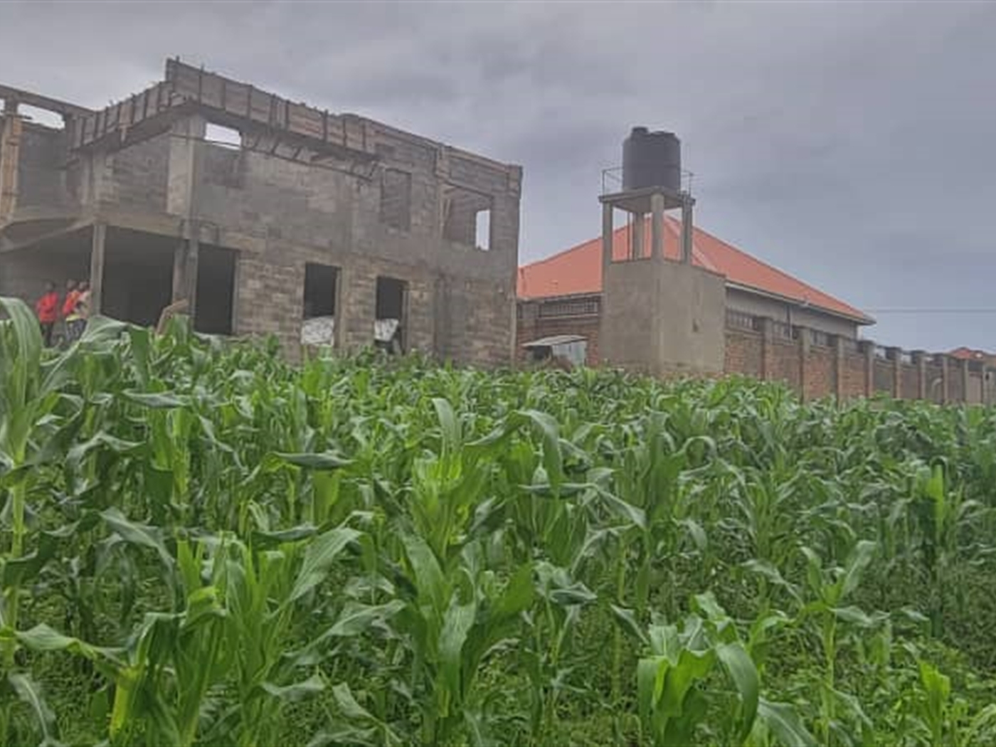 Residential land for sale in Kira Wakiso Uganda