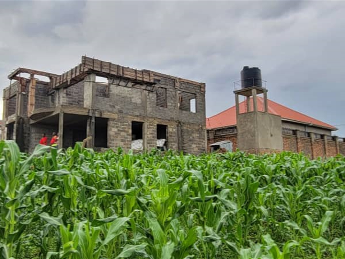 Residential land for sale in Kira Wakiso Uganda