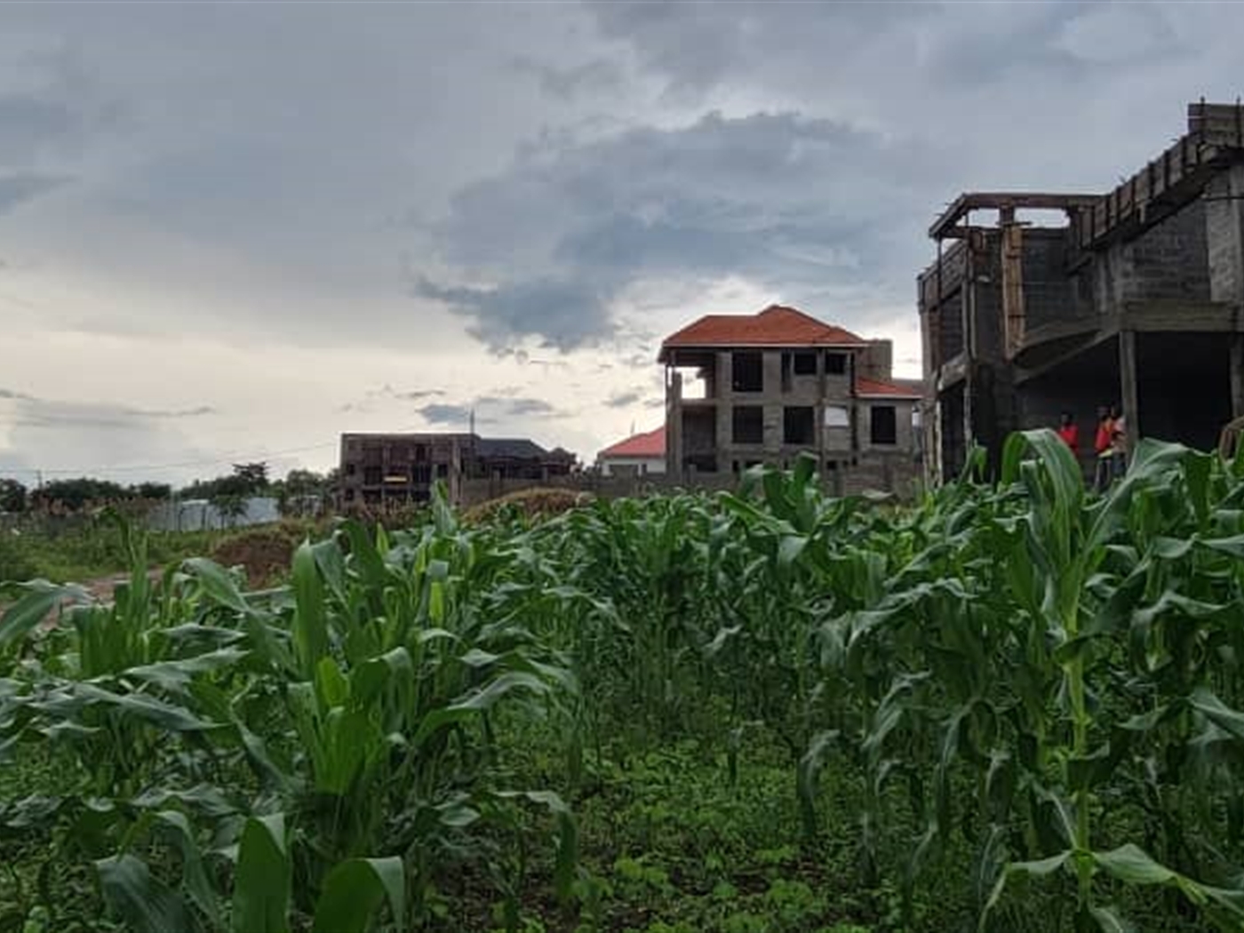 Residential land for sale in Kira Wakiso Uganda