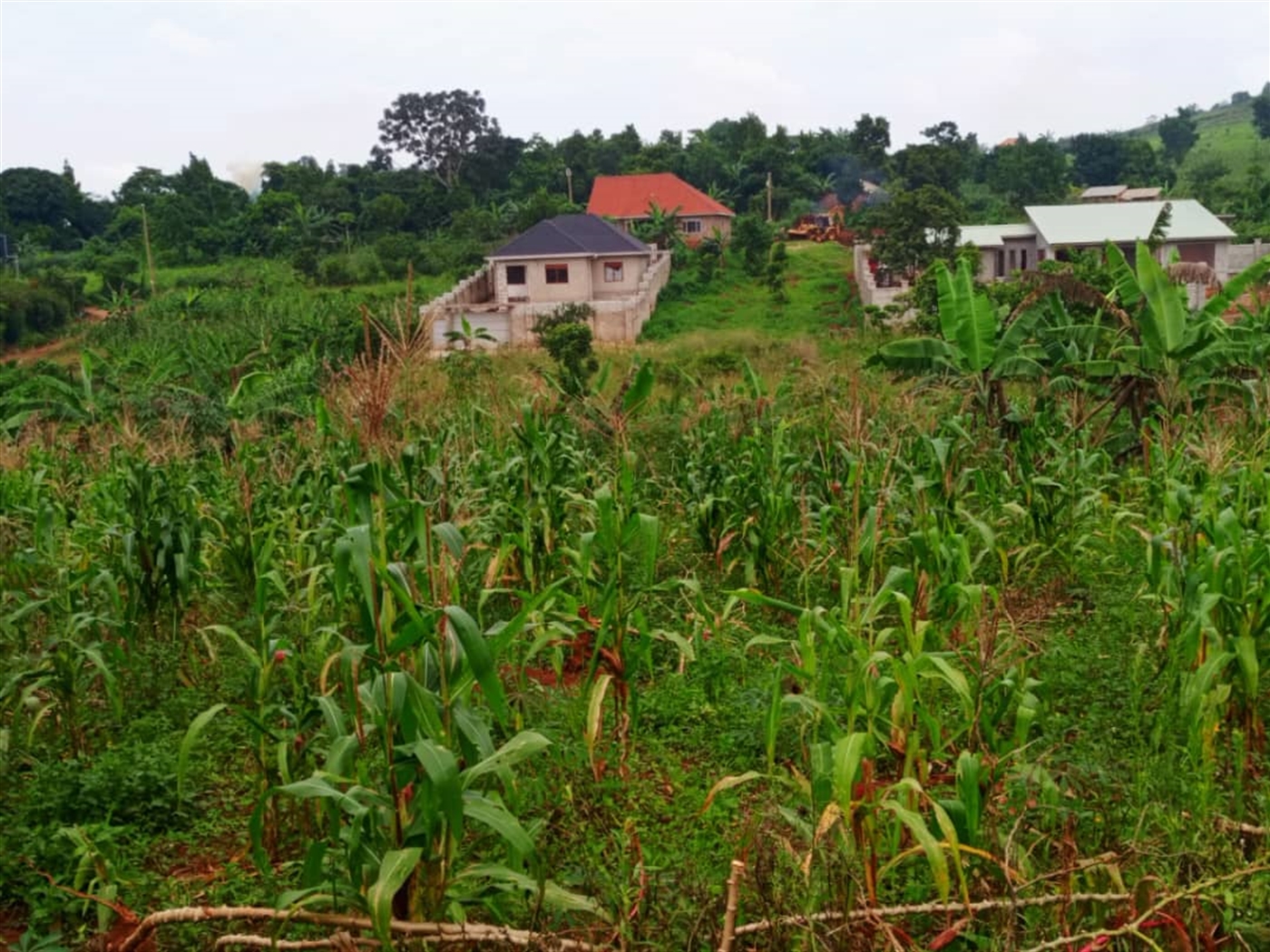Residential land for sale in Kira Wakiso Uganda