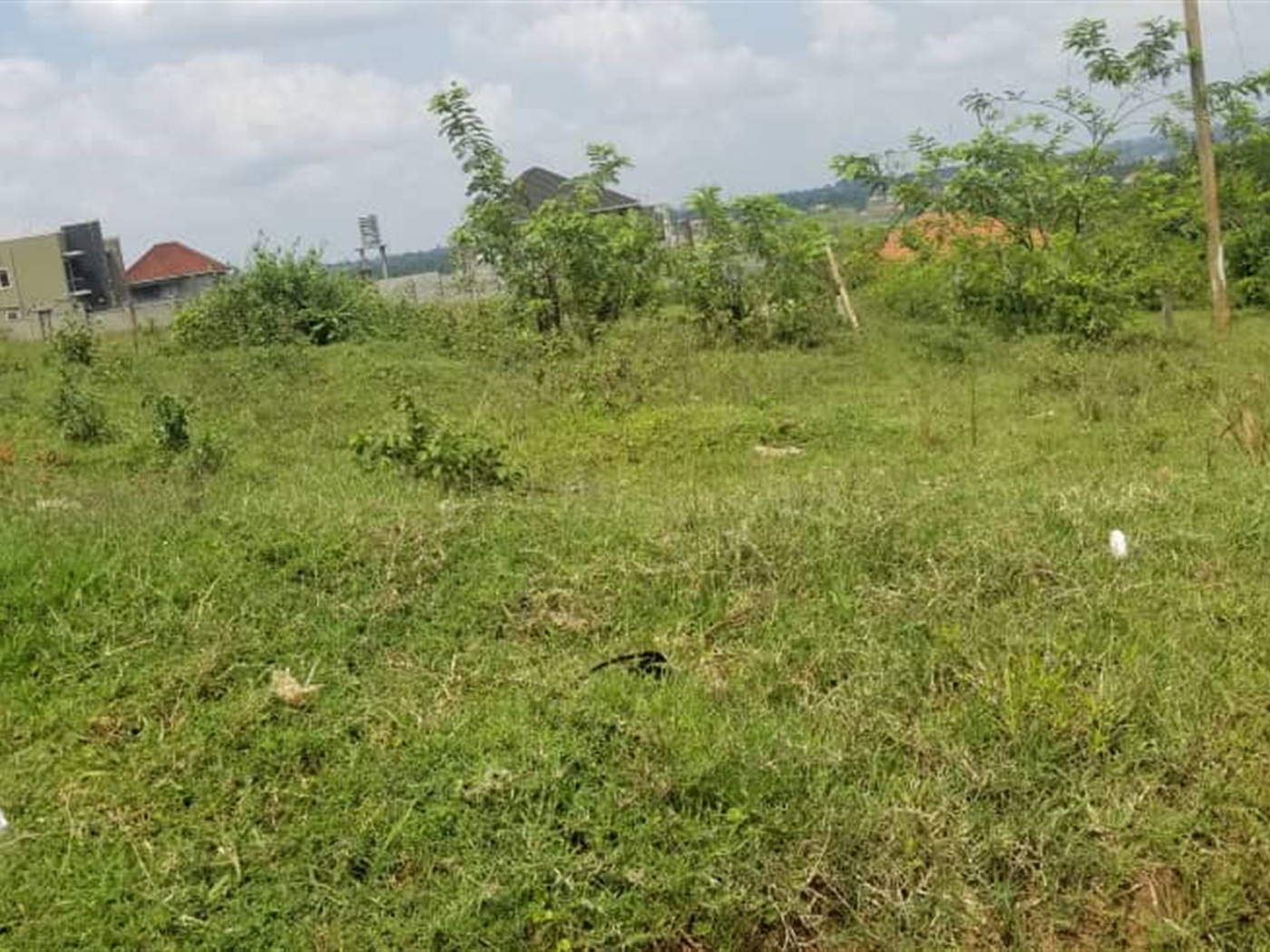 Residential land for sale in Kira Wakiso Uganda