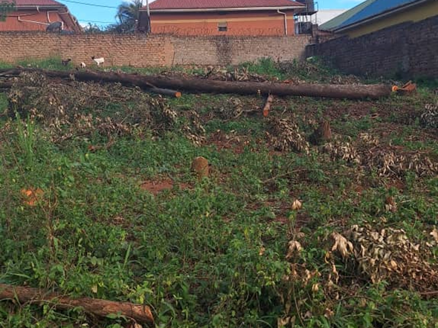 Residential land for sale in Kira Wakiso Uganda