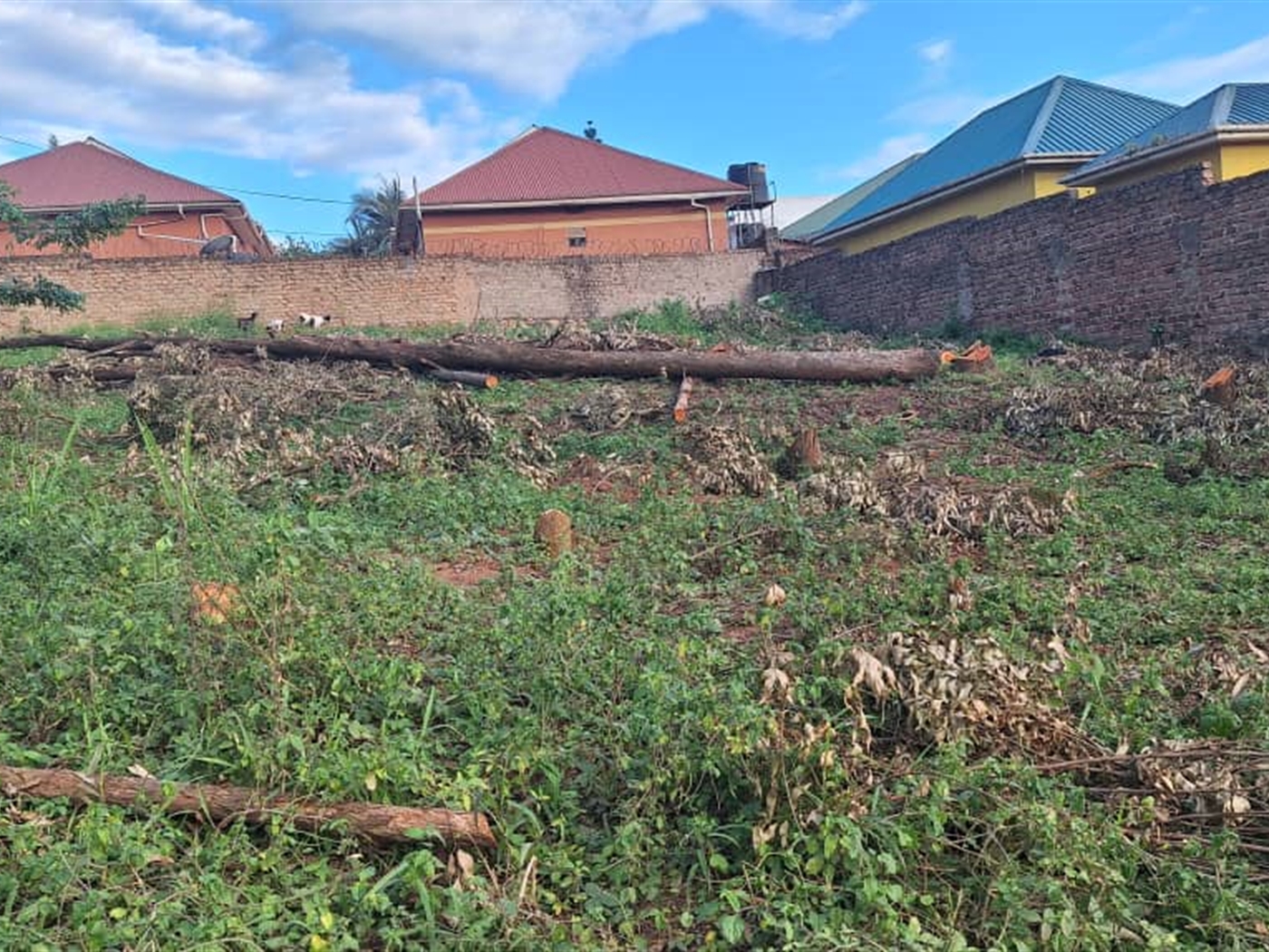 Residential land for sale in Kira Wakiso Uganda