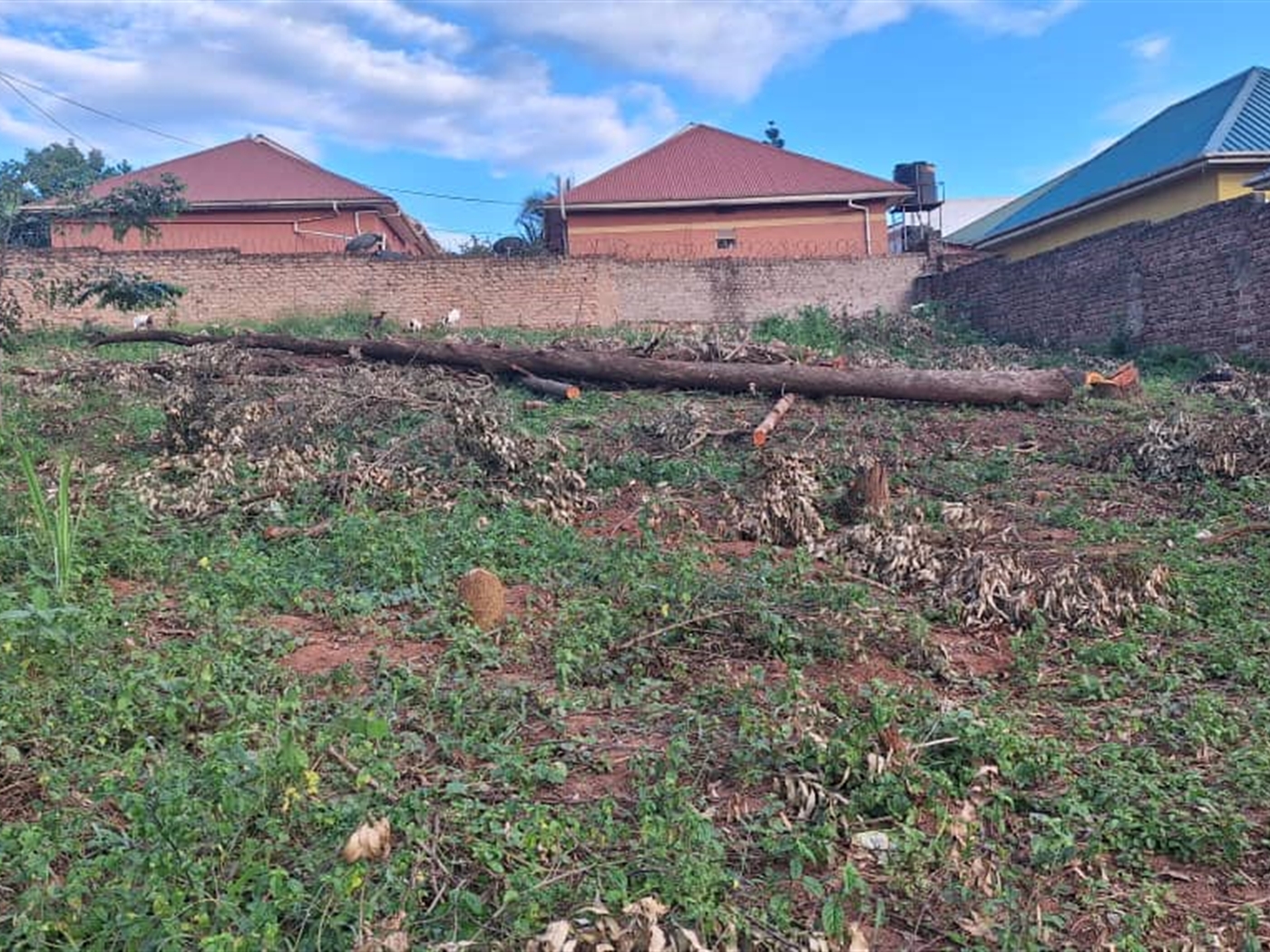 Residential land for sale in Kira Wakiso Uganda