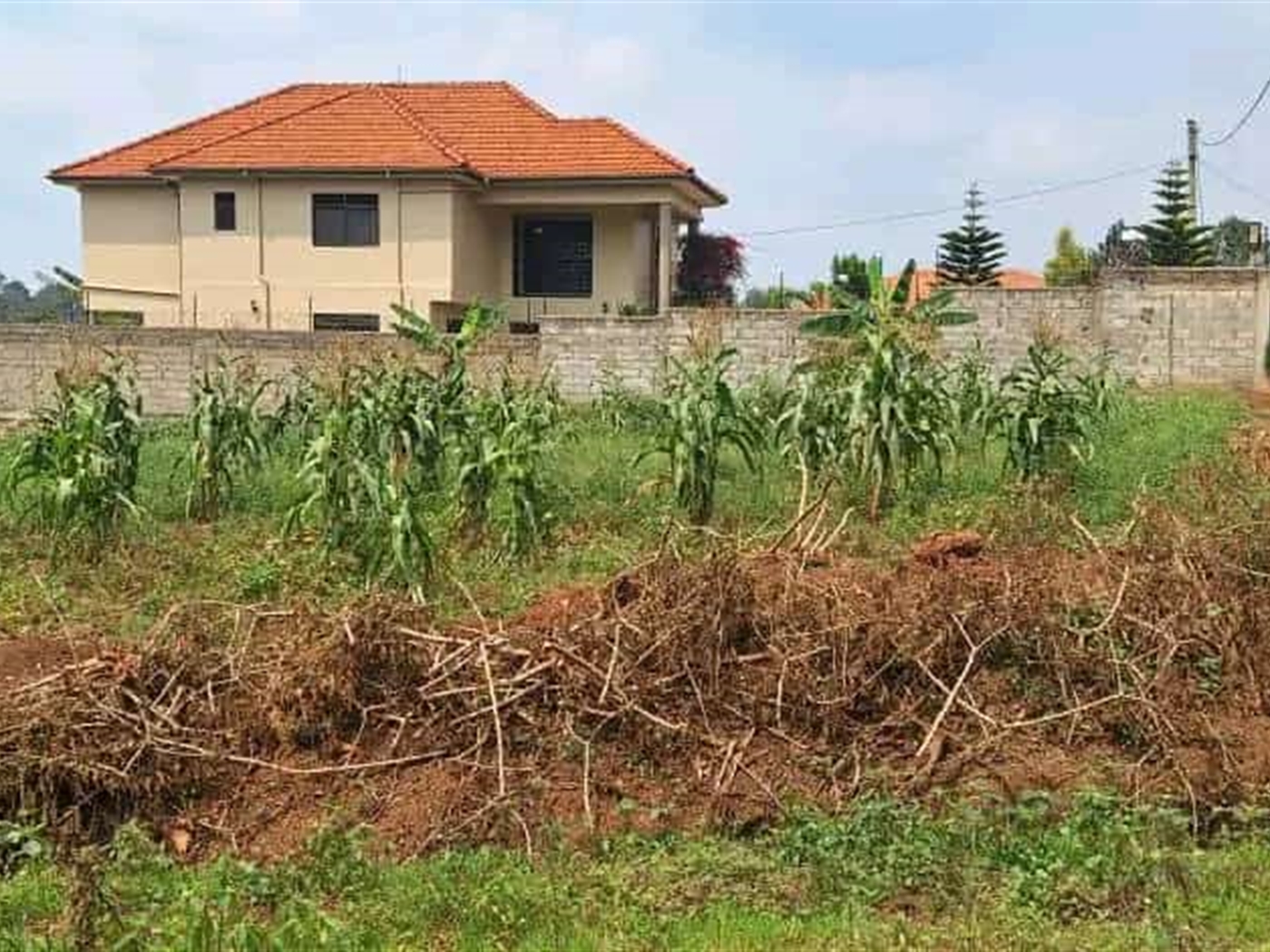 Residential land for sale in Kira Wakiso Uganda
