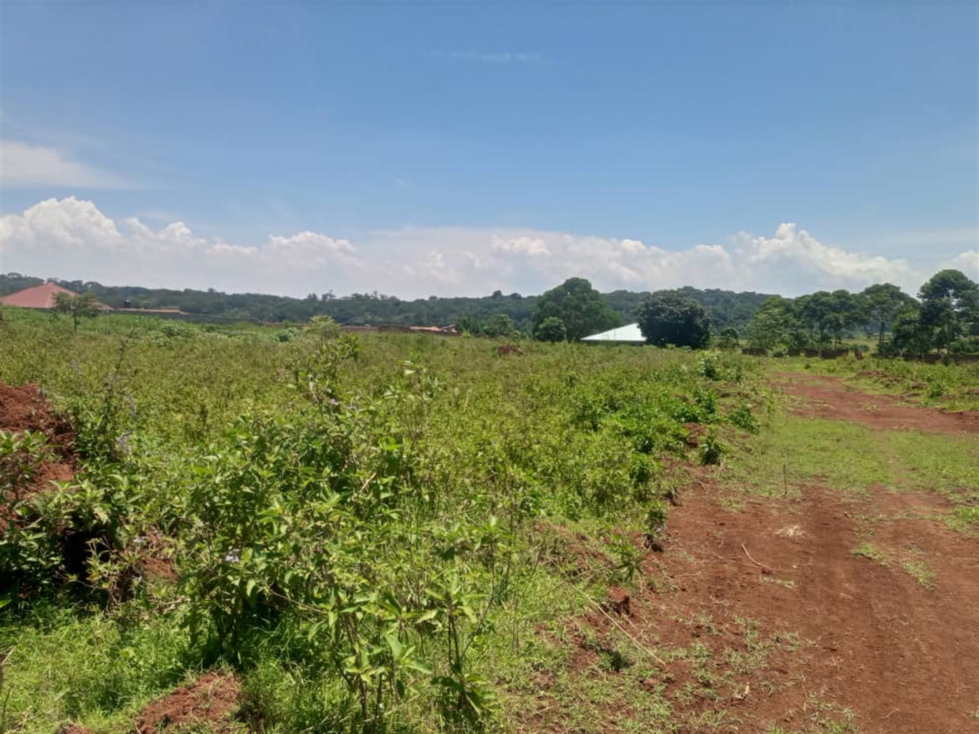 Residential land for sale in Garuga Wakiso Uganda