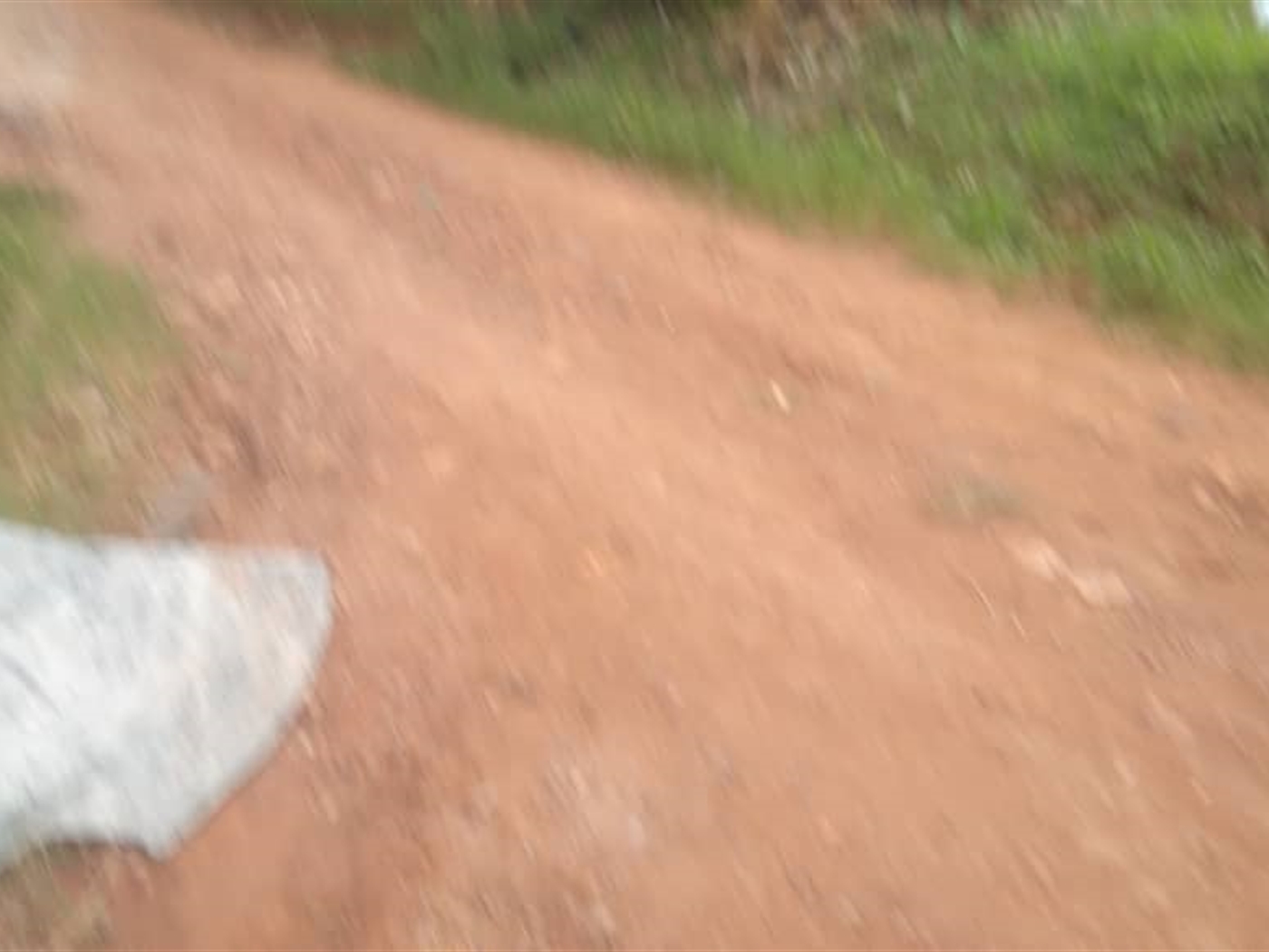 Residential land for sale in Kira Wakiso Uganda