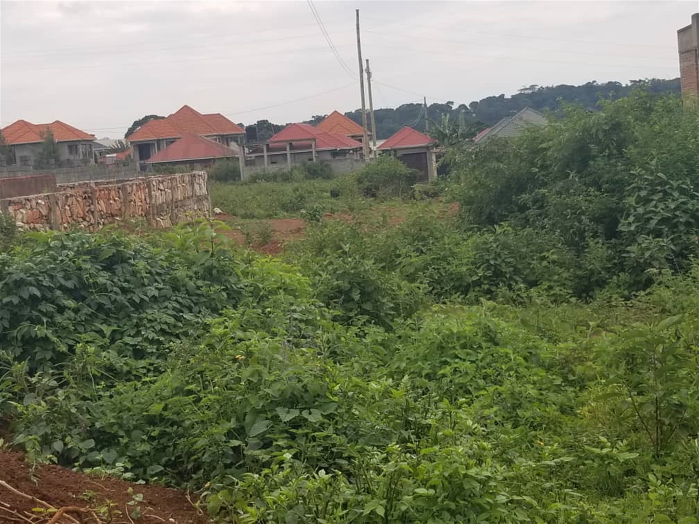 Residential land for sale in Garuga Wakiso Uganda