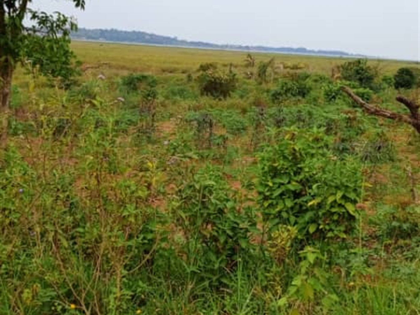 Residential land for sale in Garuga Wakiso Uganda