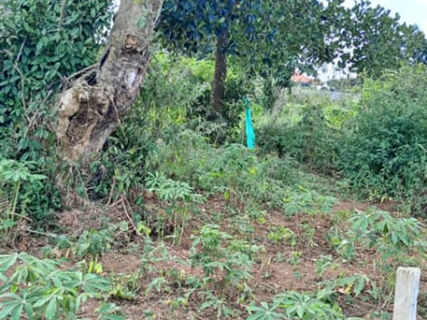 Residential land for sale in Garuga Wakiso Uganda