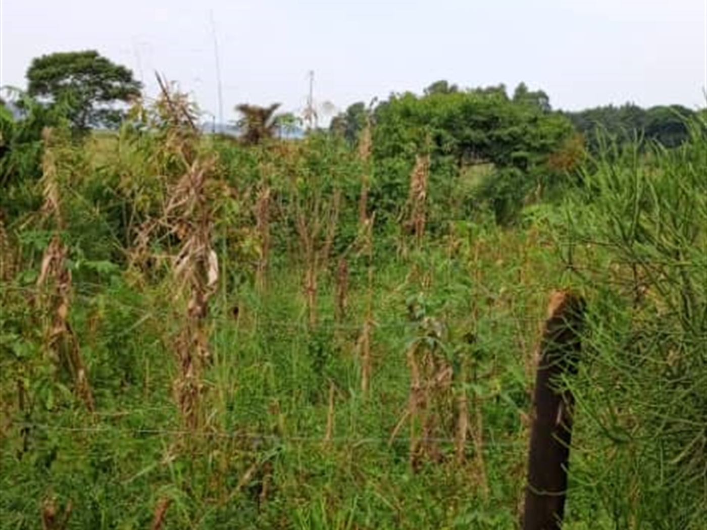 Residential land for sale in Garuga Wakiso Uganda