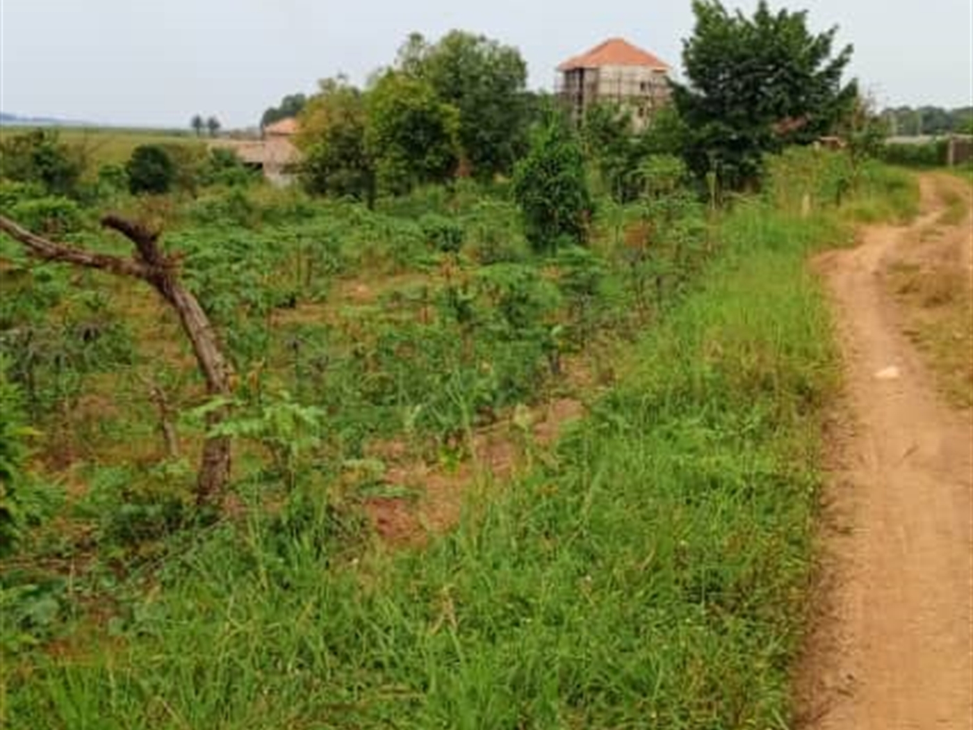 Residential land for sale in Garuga Wakiso Uganda