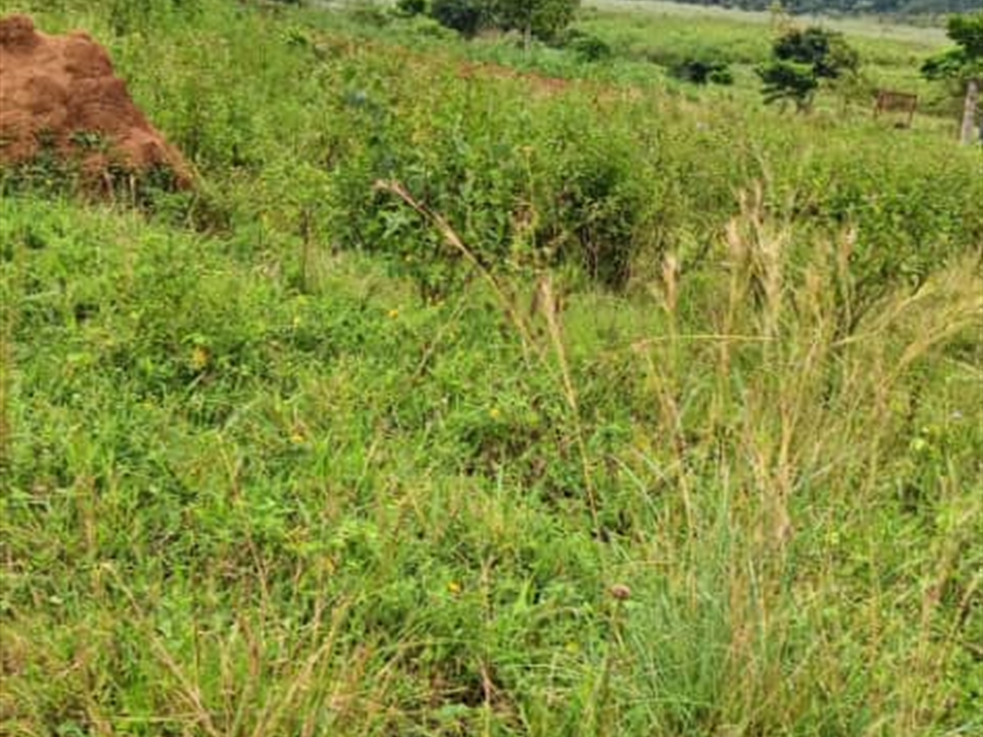 Residential land for sale in Garuga Wakiso Uganda