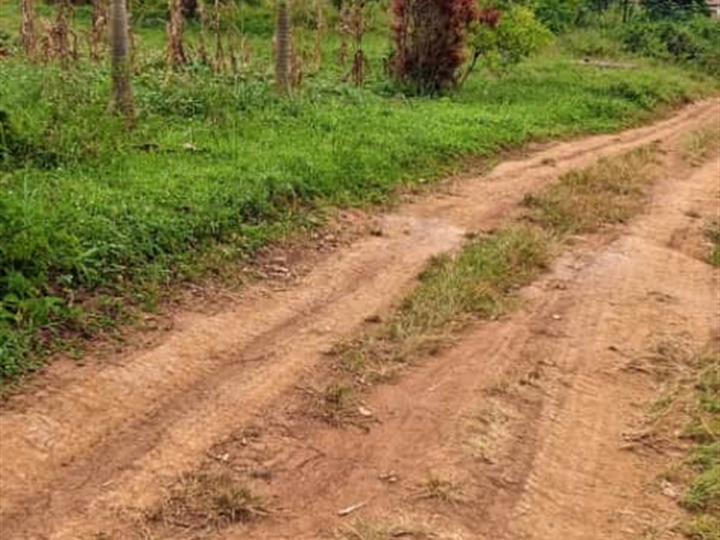 Residential land for sale in Garuga Wakiso Uganda