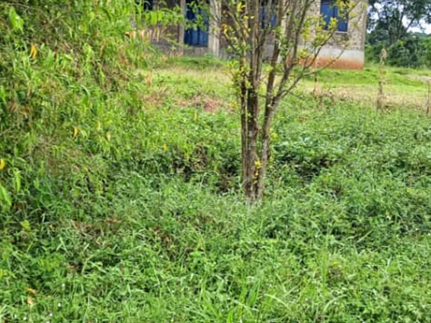 Residential land for sale in Garuga Wakiso Uganda