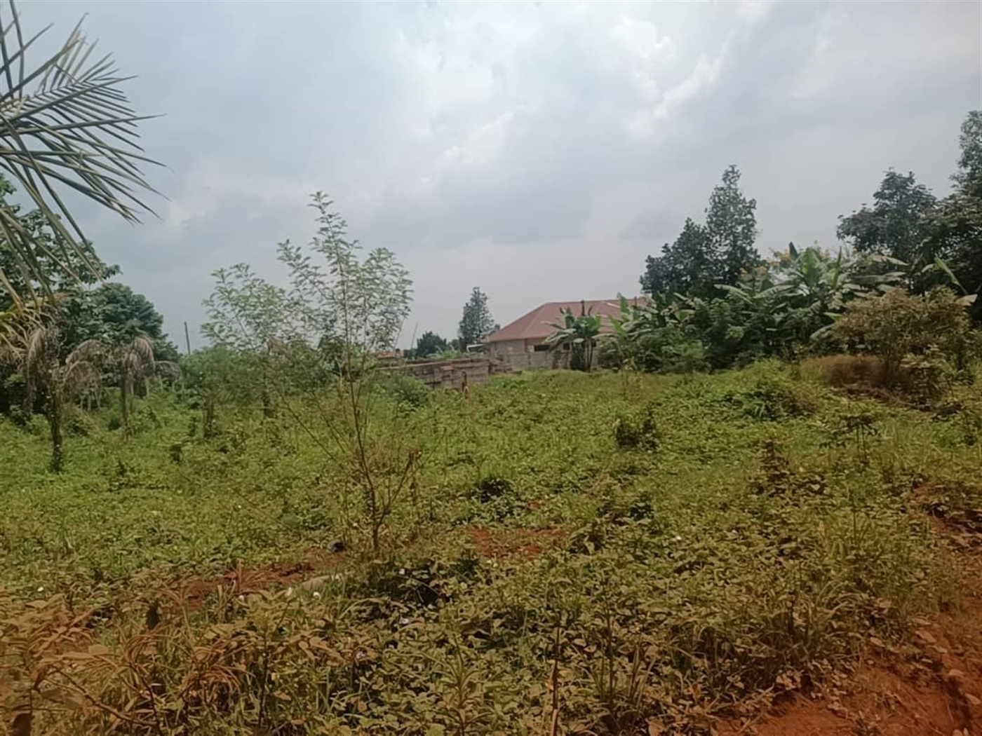 Residential land for sale in Kira Wakiso Uganda