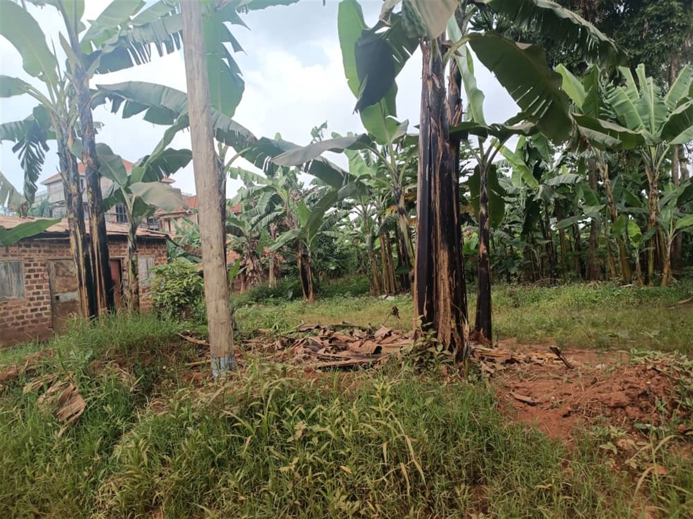 Residential land for sale in Kira Wakiso Uganda