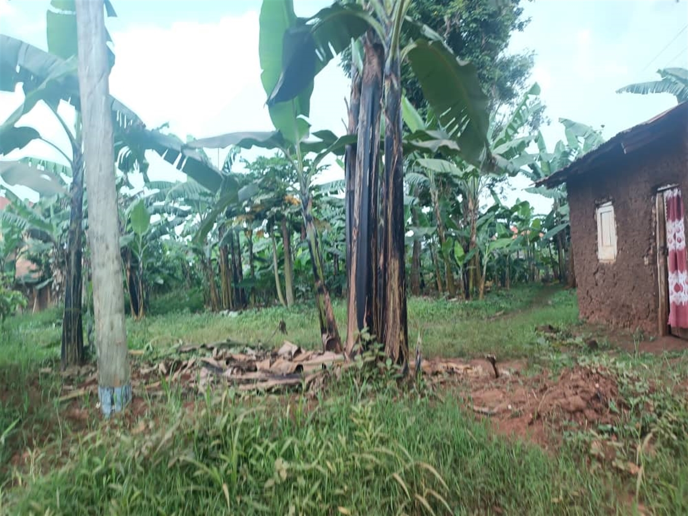 Residential land for sale in Kira Wakiso Uganda