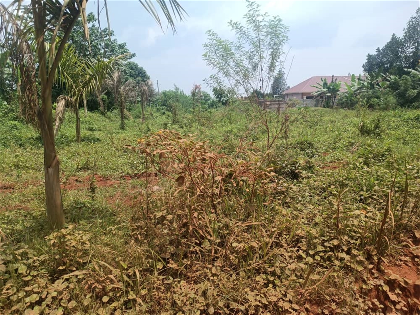 Residential land for sale in Kira Wakiso Uganda