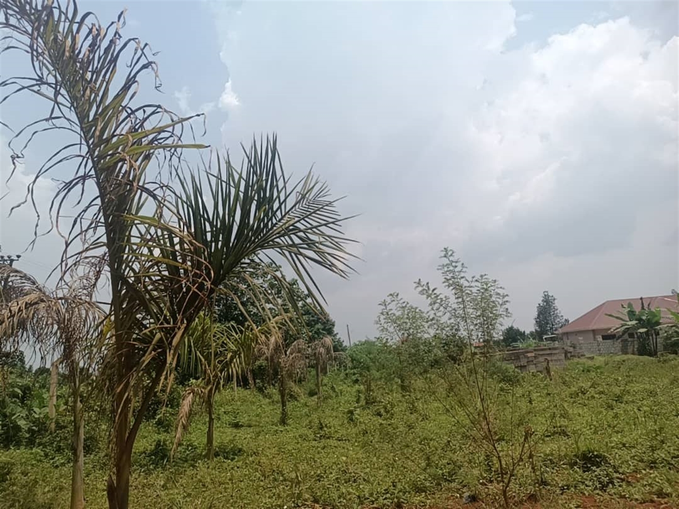 Residential land for sale in Kira Wakiso Uganda