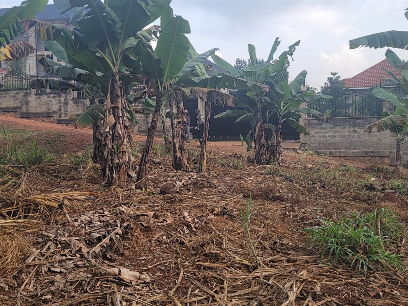 Residential land for sale in Kira Wakiso Uganda