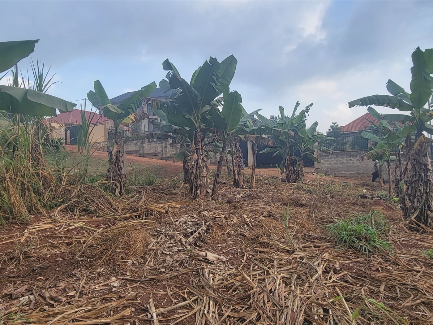 Residential land for sale in Kira Wakiso Uganda
