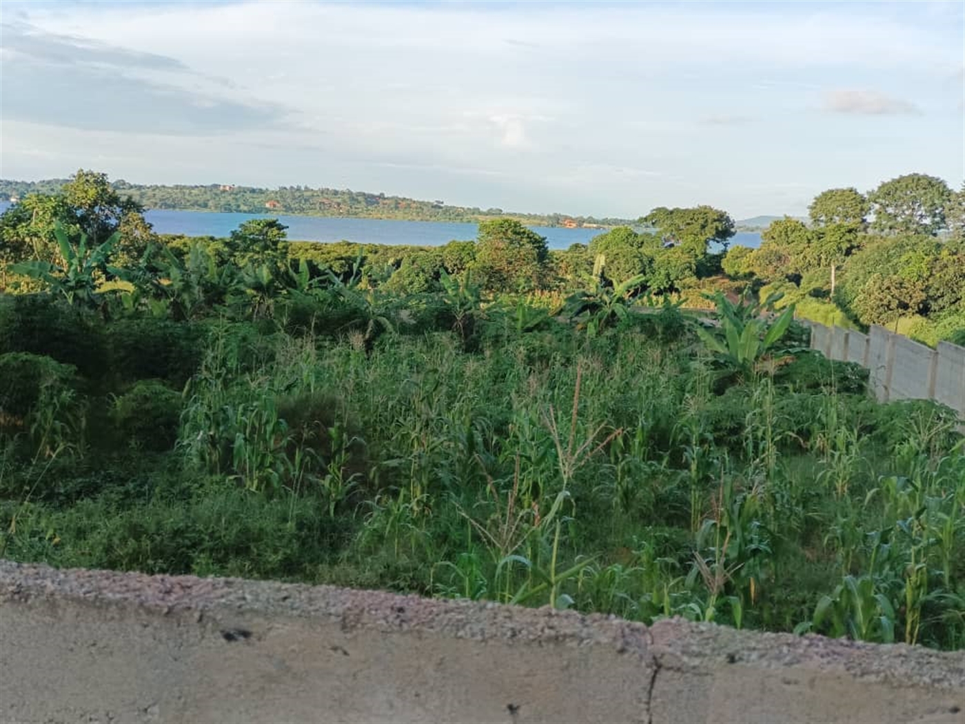 Residential land for sale in Garuga Wakiso Uganda