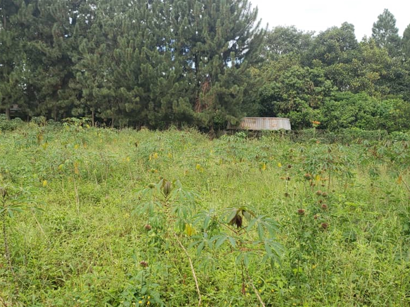 Residential land for sale in Garuga Wakiso Uganda