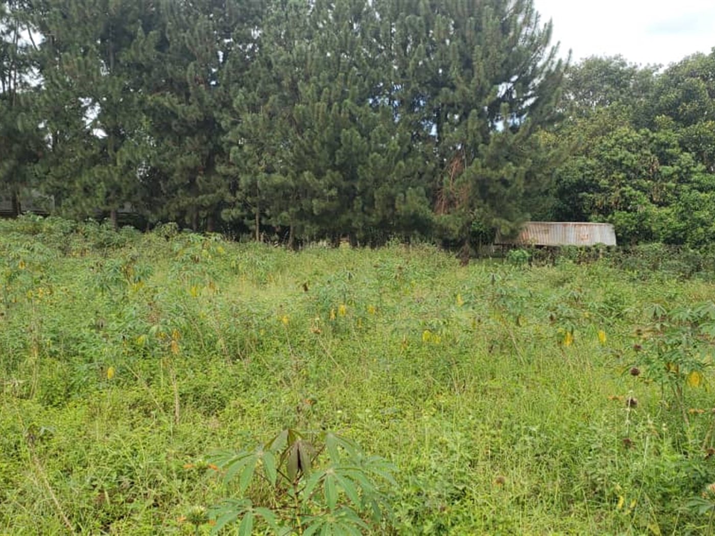 Residential land for sale in Garuga Wakiso Uganda