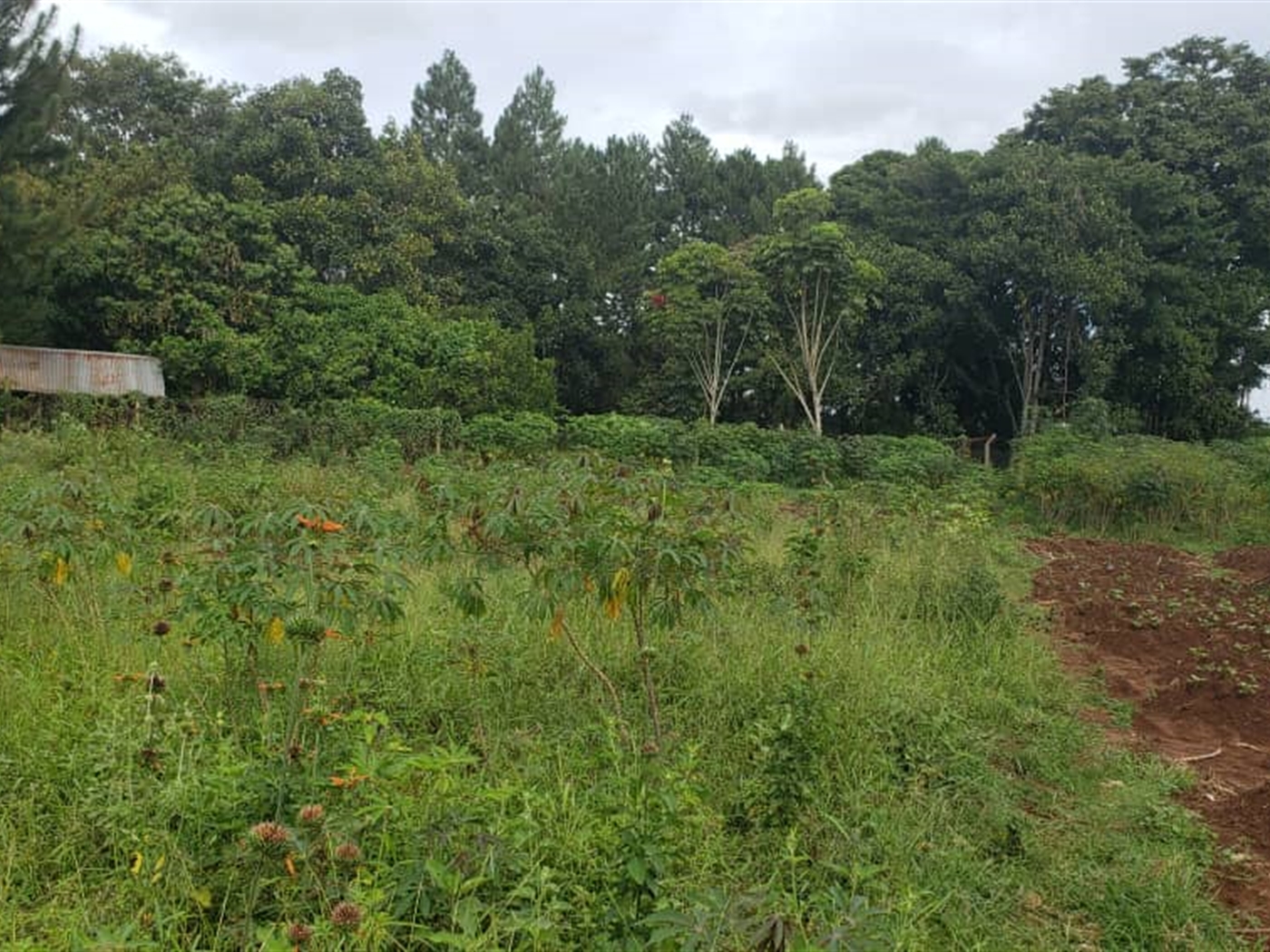 Residential land for sale in Garuga Wakiso Uganda