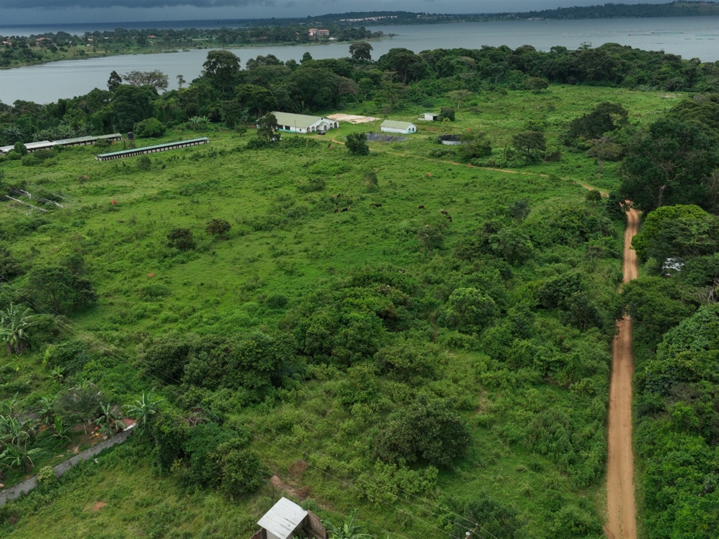 Residential land for sale in Garuga Wakiso Uganda